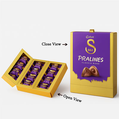 "Cadbury Dairy Milk Silk Pralines  - code 02 - Click here to View more details about this Product
